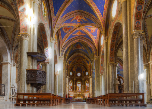 Interior Of Santa Maria Sopra Minerva