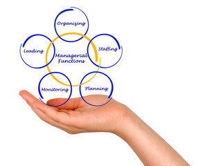 Managerial Function