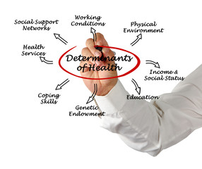 Determinants of Health