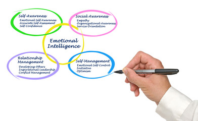 Emotional Intelligence