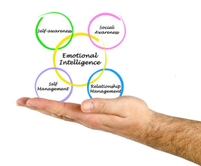 Emotional Intelligence