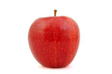 Red Royal Gala apple