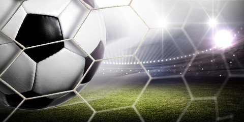 Stadium Goal
