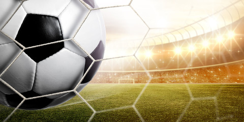 Stadium Goal
