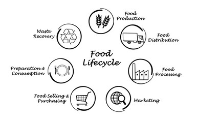 Food lifecycle