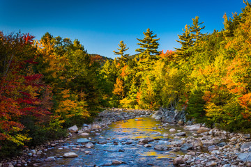The Swift River, in White Mountain National Forest, New Hampshir