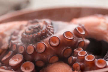 polpo cotto nel coccio