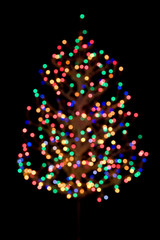 Out of Focus Christmas Tree Lights