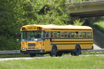 School Bus On Field Trip