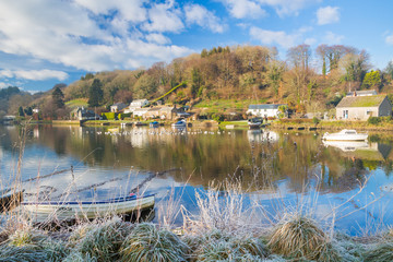 Frosty morning beside the River Lerryn