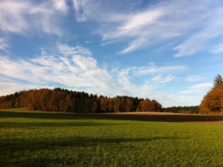 Fototapeta na wymiar Wiese mit Herbstwald