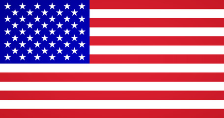 American flag vector