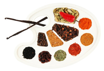 Painting palette with various spices and herbs, isolated