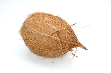 Coconut