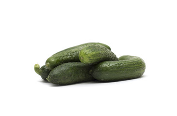 Fresh green cucumber. Photo.