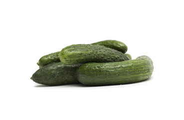 Fresh green cucumber. Photo.