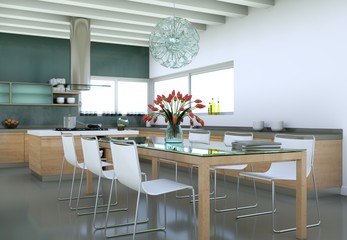 modern Kitchen Interior Design