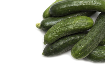 Fresh green cucumber. Photo.