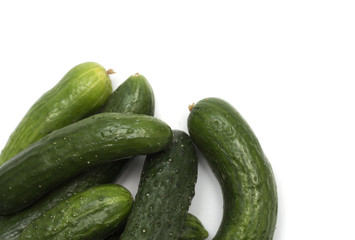 Fresh green cucumber. Photo.