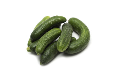 Fresh green cucumber. Photo.
