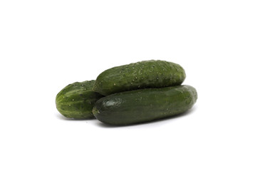 Fresh green cucumber. Photo.