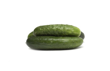 Fresh green cucumber. Photo.