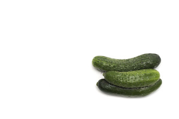 Fresh green cucumber. Photo.