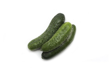 Fresh green cucumber. Photo.