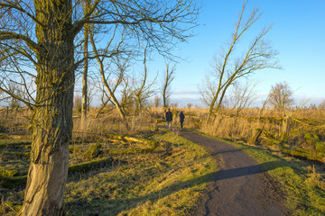 People walking in nature in winter