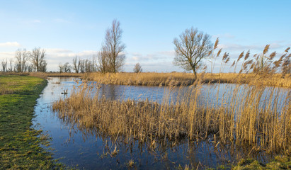 The shore of a lake at sunset in winter