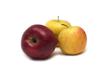 Red and yellow apple. Dessert. Photo.