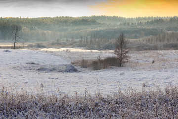 Zimowe Piękno © Wojciech Lisiński