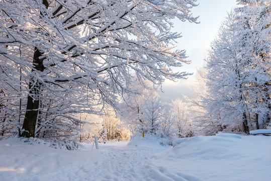 Obraz Piękna zima w polskich górach - Beskidy