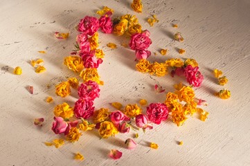 retro background with dried roses