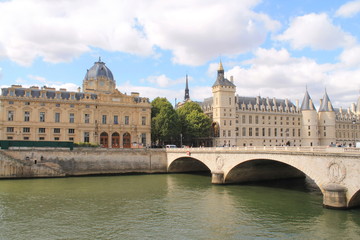 Fototapeta na wymiar Promenade sur la seine à Paris, France