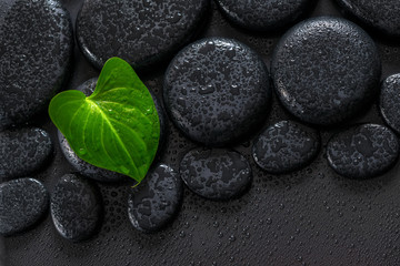 Obraz na płótnie Canvas beautiful spa concept of green leaf Calla lily on zen basalt sto