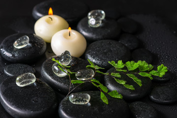 Fototapeta na wymiar beautiful spa concept of green twig fern, ice and candles on zen