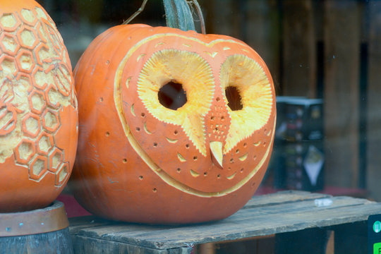 Pumpkin with carved owl face