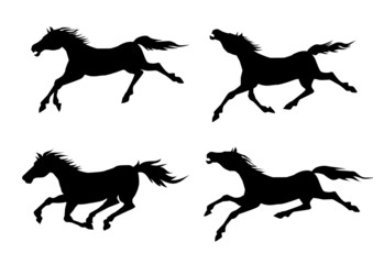 Horse Silhouette Set-Vector