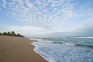 beautiful beach and tropical sea