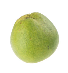 Pamelo on the background. Pamelo on the background