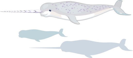 Narwhal set © Kazakova Maryia
