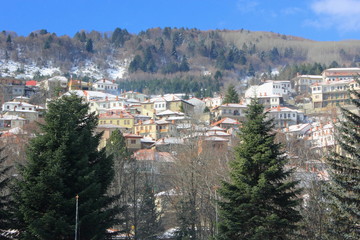 Obraz premium metsovo Mountainside alp Village with snow and trees