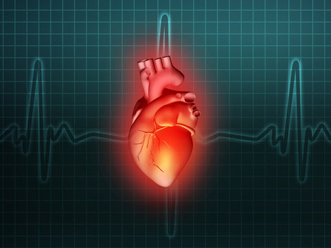 heart disease 3d anatomy illustration turquoise