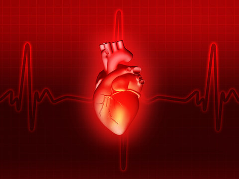 heart disease 3d anatomy illustration red