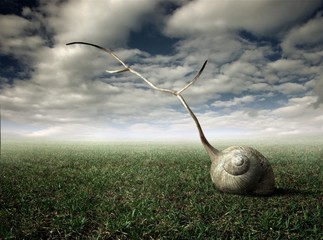 Artistic image with a snail on surreal background