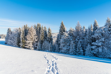 Path in snow on sunny day in Beskid Sadecki Mountains, Poland