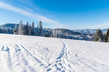 Winter landscape on sunny day, Beskid Sadecki Mountains, Poland