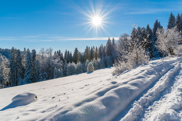 Winter path in Beskid Sadecki Mountains on sunny day, Poland