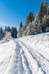 Winter path in Beskid Sadecki Mountains on sunny day, Poland